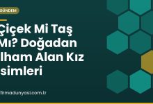 Çiçek Mi Taş Mı? Doğadan İlham Alan Kız İsimleri Çiçek Mi Taş Mı? Doğadan İlham Alan Kız İsimleri