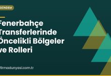 Fenerbahçe Transferlerinde Öncelikli Bölgeler ve Rolleri