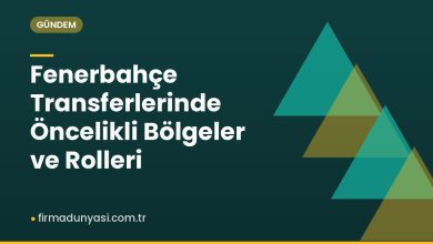 Fenerbahçe Transferlerinde Öncelikli Bölgeler ve Rolleri