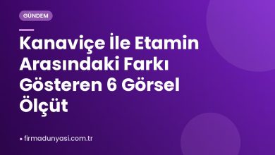 Kanaviçe İle Etamin Arasındaki Farkı Gösteren 6 Görsel Ölçüt Kanaviçe İle Etamin Arasındaki Farkı Gösteren 6 Görsel Ölçüt