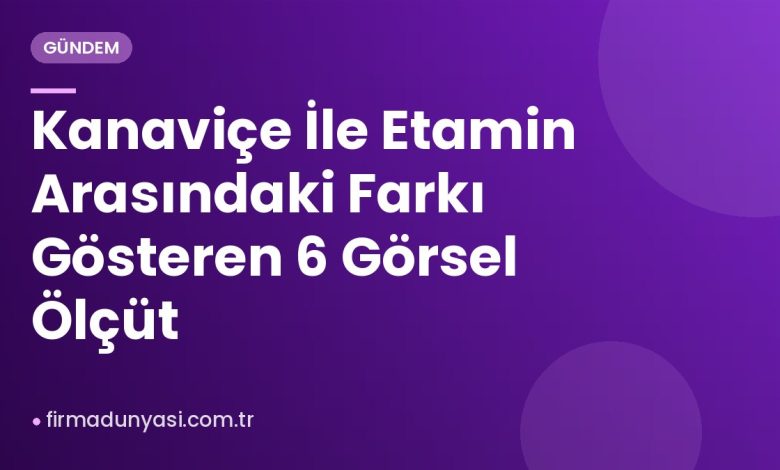 Kanaviçe İle Etamin Arasındaki Farkı Gösteren 6 Görsel Ölçüt