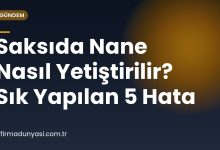 Saksıda Nane Nasıl Yetiştirilir? Sık Yapılan 5 Hata
