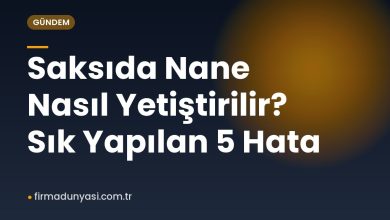 Saksıda Nane Nasıl Yetiştirilir? Sık Yapılan 5 Hata