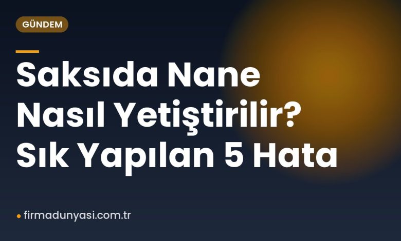 Saksıda Nane Nasıl Yetiştirilir? Sık Yapılan 5 Hata Saksıda Nane Nasıl Yetiştirilir? Sık Yapılan 5 Hata